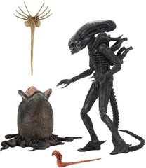 NECA 7-inch Alien figure ideal for shelf display and limited-edition collection.