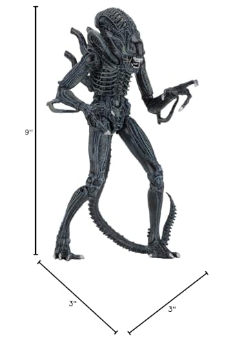 NECA Alien Warrior blue with brown variant set for complete collection