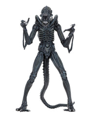 NECA Alien Warrior blue bendable tail enables flexible posing