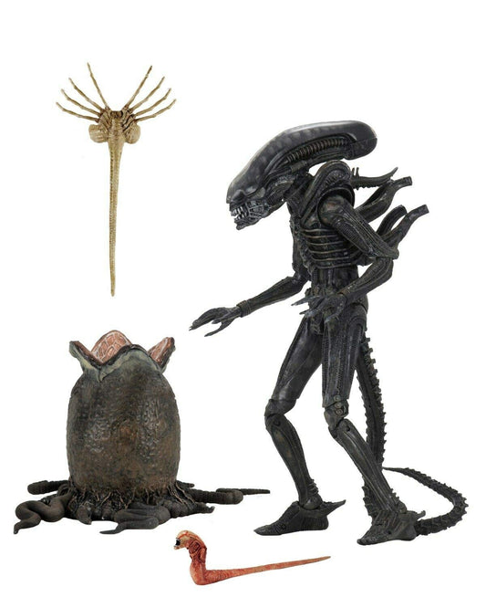 NECA Alien Big Chap overview with premium articulation and iconic silhouette.