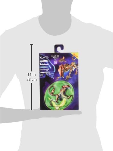 Detachable drone magnetically attaches to the back for alternate display angles.
