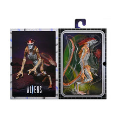 Kenner Tribute packaging echoes 1990s toy art and color palette.