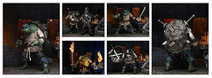 NECA Leonardo Hunchback figure with interchangeable hands for varied gestures