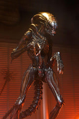 NECA Xenomorph Romulus figure articulated pose options for dynamic displays