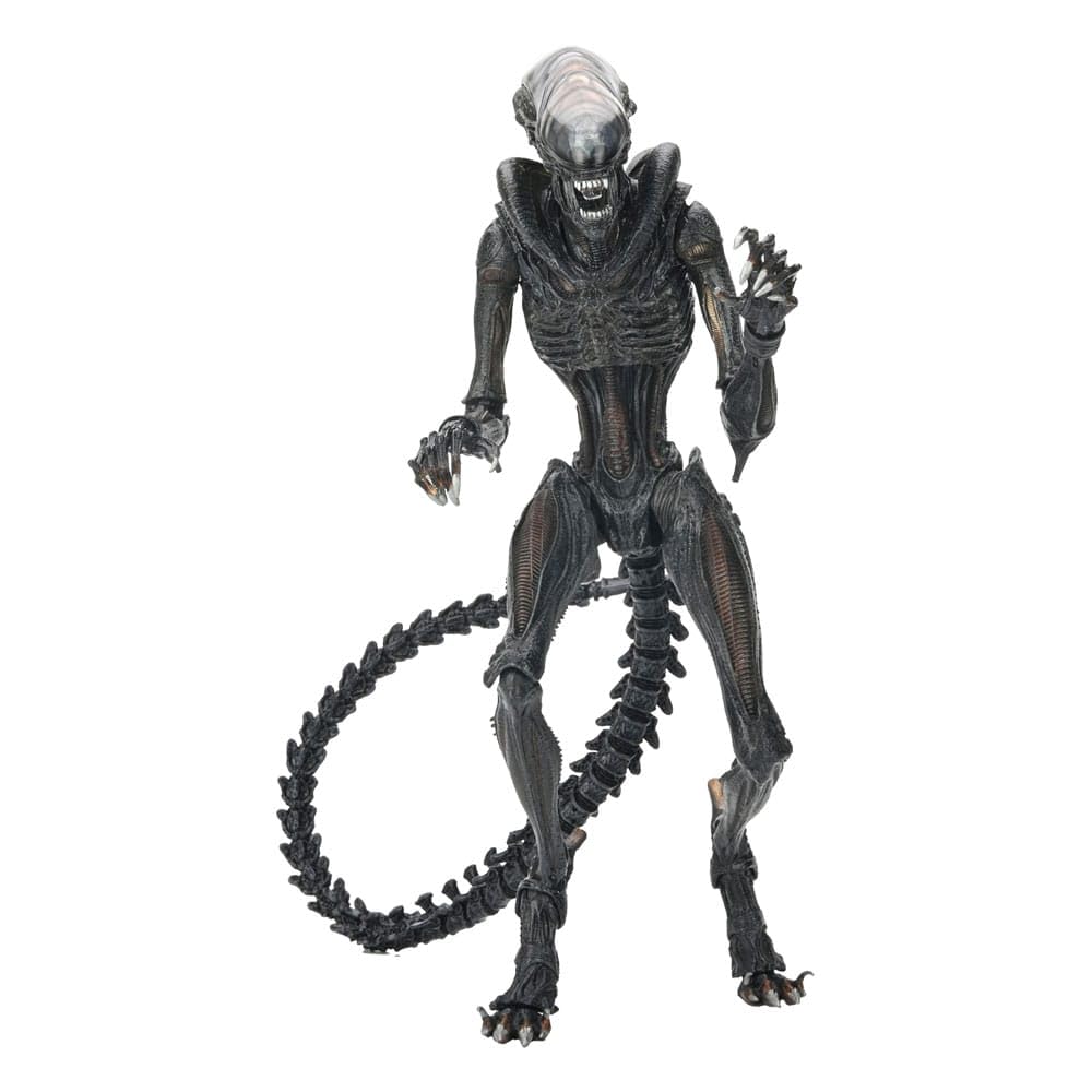 NECA Xenomorph Romulus figure front view for display-ready collection