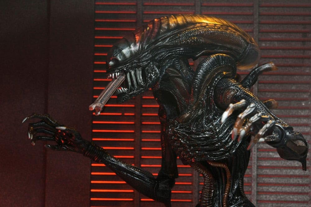 NECA Xenomorph Romulus figure 18 cm scale fits standard display shelves