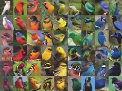 New York Puzzle Company bird collection featuring cardinals roadrunners and hummingbirds for bird lovers.