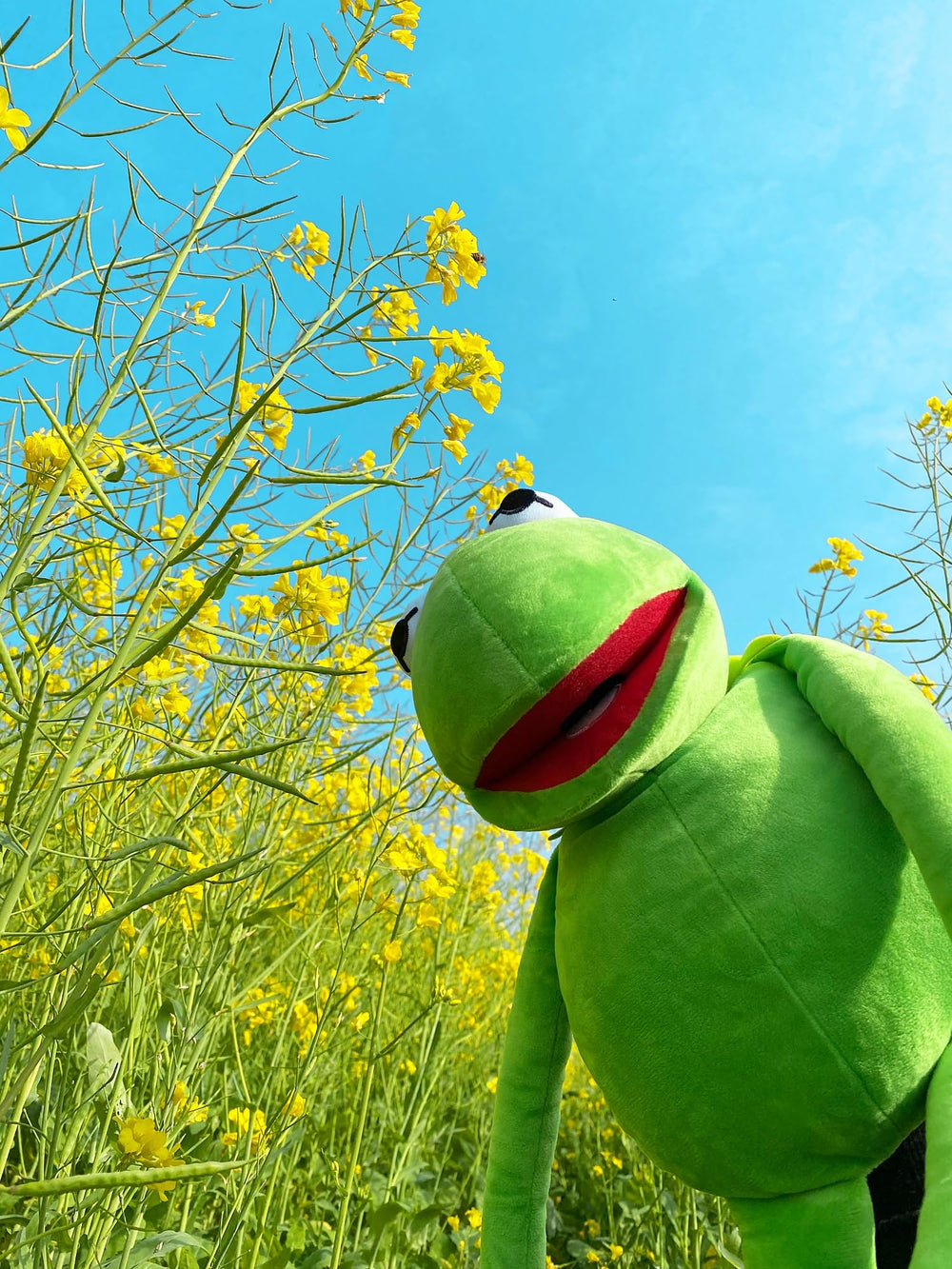 NICERINC Kermit Frog Puppet nods to The Muppets for fan celebrations.