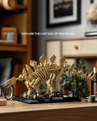 Nifeliz Stegosaurus display base with museum‑style setup