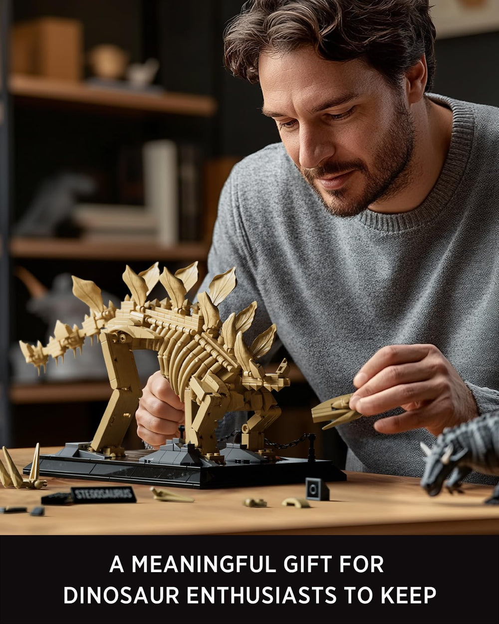 Nifeliz Stegosaurus for adults – ideal gift for enthusiasts