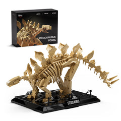 Nifeliz Stegosaurus fossils skeleton with detailed bones for collectors