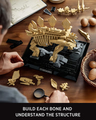 Nifeliz Stegosaurus museum nameplate for accurate labeling
