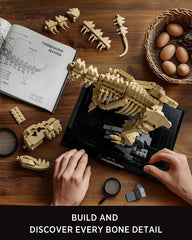 Nifeliz T. Rex model during build process invites hands-on learning.