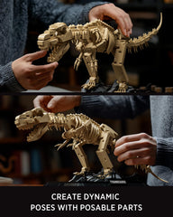 Nifeliz T. Rex Fossils Model on desk provides educational interest.