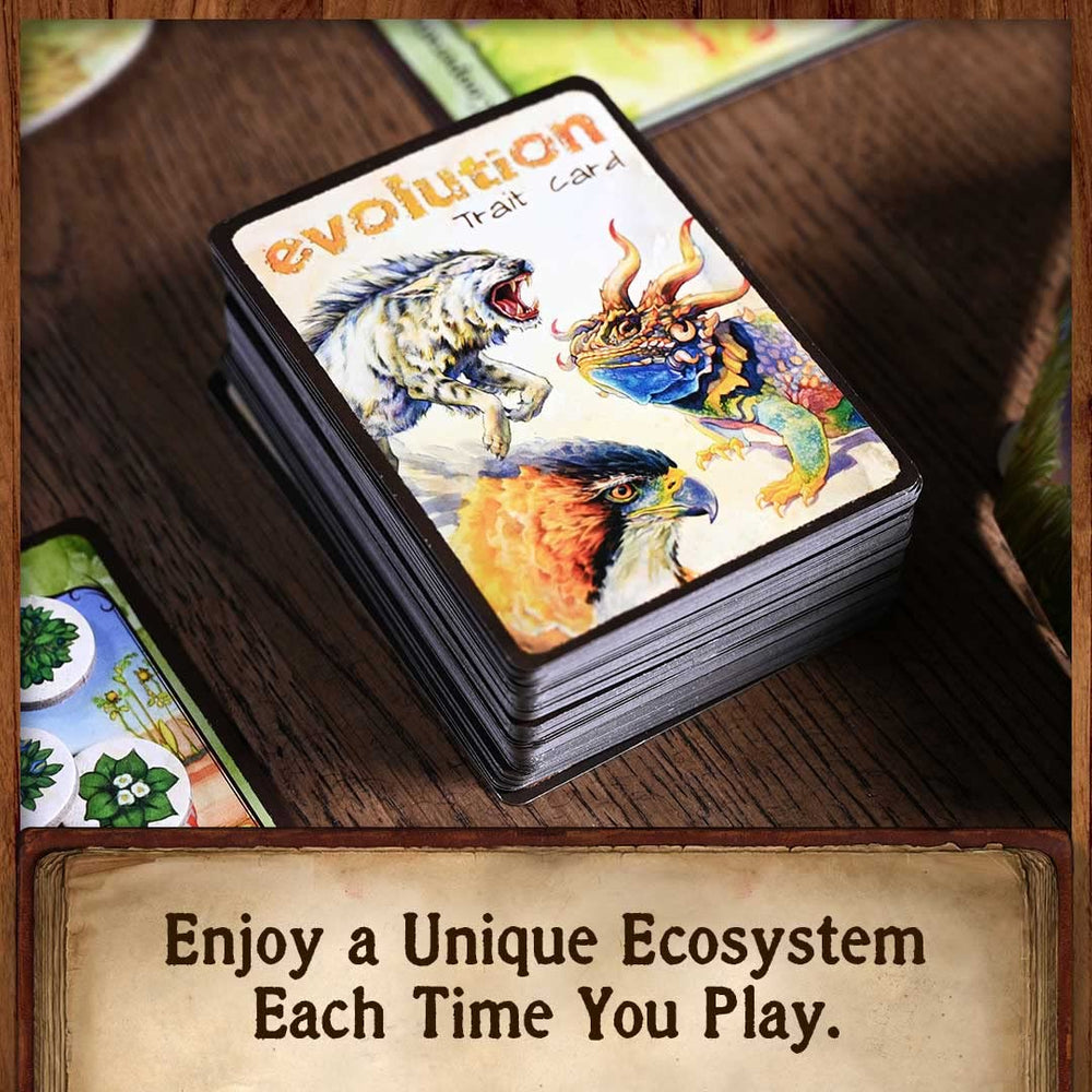 North Star Games Evolution supports 2-6 players for flexible gatherings