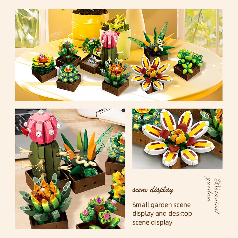 Noziaa deluxe color box packaging, premium gifting presentation.