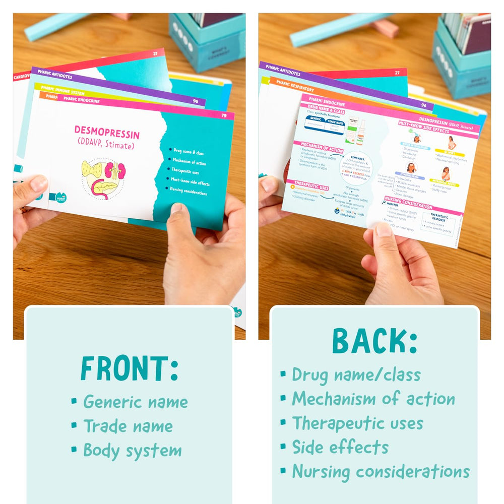 Nurse In The Making flashcards 4x6 layout ideal for on-the-go study between classes.