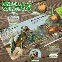 OENUX dinosaur figures feature detailed hand painted designs for lifelike play.