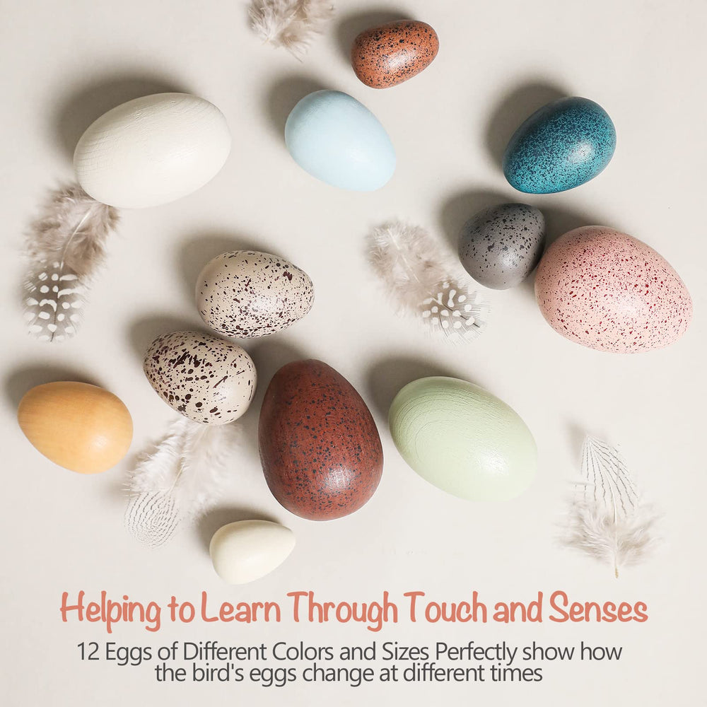OESSUF durable beech wood eggs ready for creative activities.