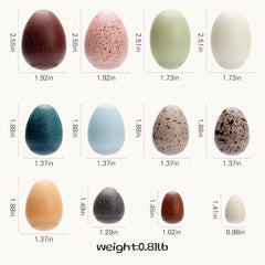 OESSUF eggs set in protective box for safe storage and transport.