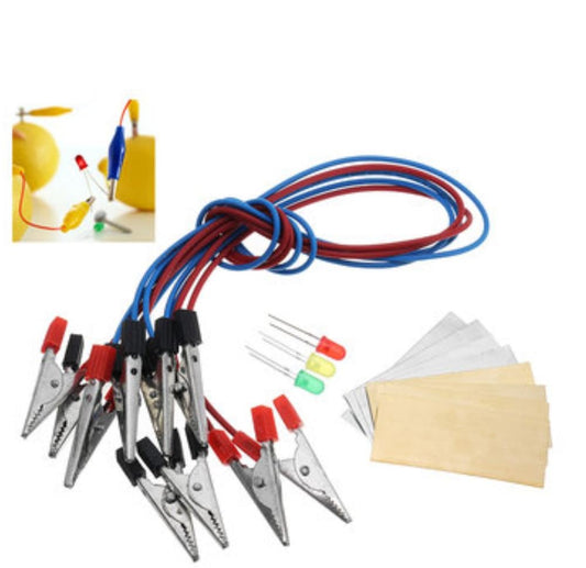 Ologymart fruit battery LED kit lemon setup demonstrates citrus power concept for beginners