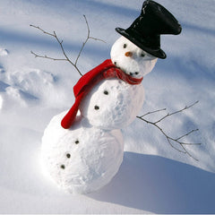 Orgrimmar Snowman Decorating Kit carrot nose creates cheerful facial accents
