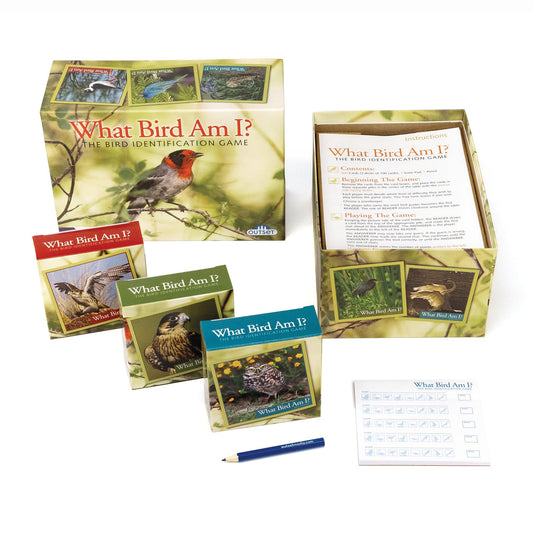 Outset Media What Bird Am I? card front with colorful birds for identification practice