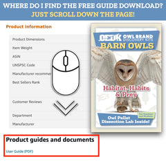 Dissection pick included in the Owl Brand Discovery kit for classroom science.