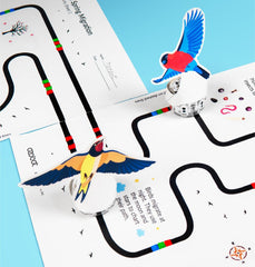 Ozobot Evo Entry Kit classroom use supports STEAM activities and lessons.