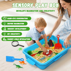 Pakimio dinosaur skeletons set supports early science exploration