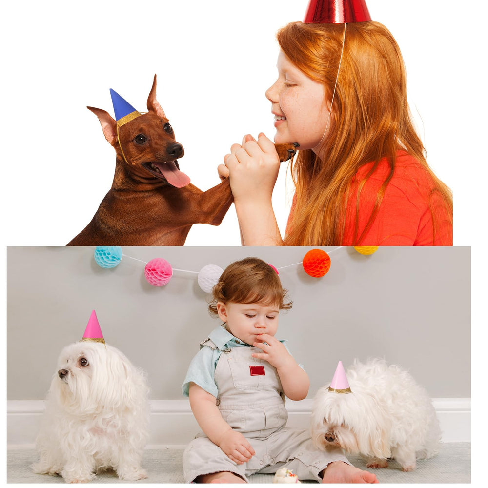 Panitay 40-piece party hat pack covers party needs for large gatherings and events