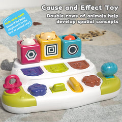 PANITU toy features smooth edges for safe play and caregiver guidance.
