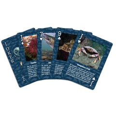 Paradise Cay Publications marine wildlife card deck - detailed Pacific Northwest marine life depiction, ideal for display.