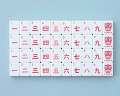 Paradise travel bag keeps tiles organized and portable for on-the-go sessions.