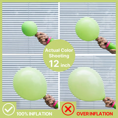 PartyWoo lime green 5-inch balloons compact set for DIY accents