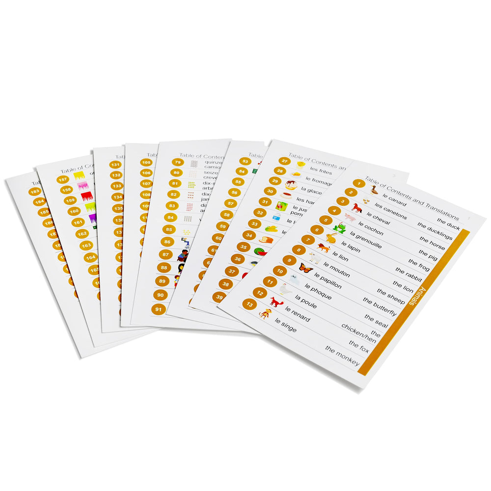 Pat's Flash Cards transportation cards show travel prompts for route practice