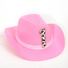 PATRDIO pink cowgirl mini hat side angle for festive birthday styling