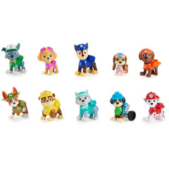 PAW Patrol All Pups On Deck figures ready for imaginative rescue play