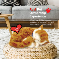 Perfect Petzzz Orange Tabby Cat features allergen-free handcrafted fur for gentle play.