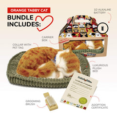 Close-up of Perfect Petzzz Orange Tabby Cat soft synthetic fur for allergy-friendly play.