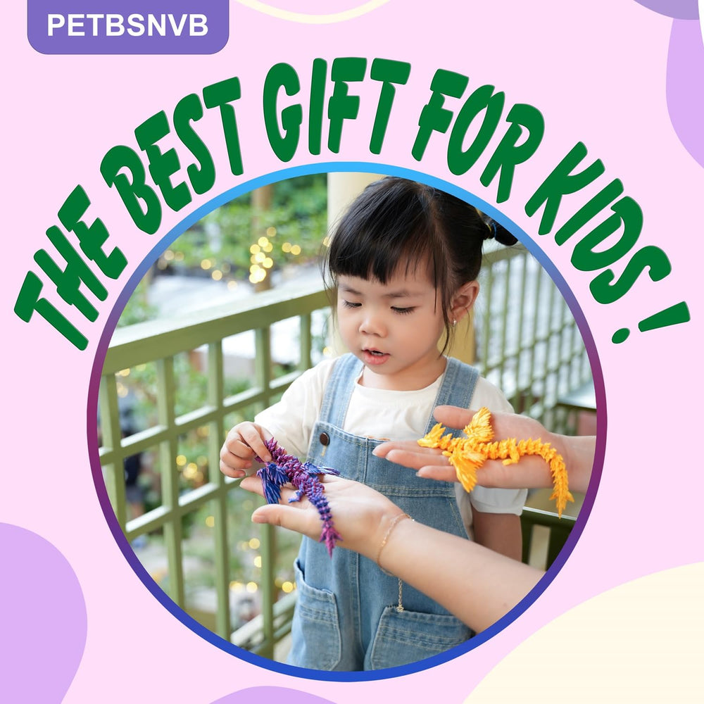 PETBSNVB gift for dragon enthusiasts and fantasy lovers.