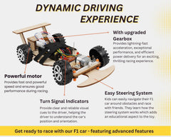 Pica Toys F1 kit with instructions supports independent problem solving.