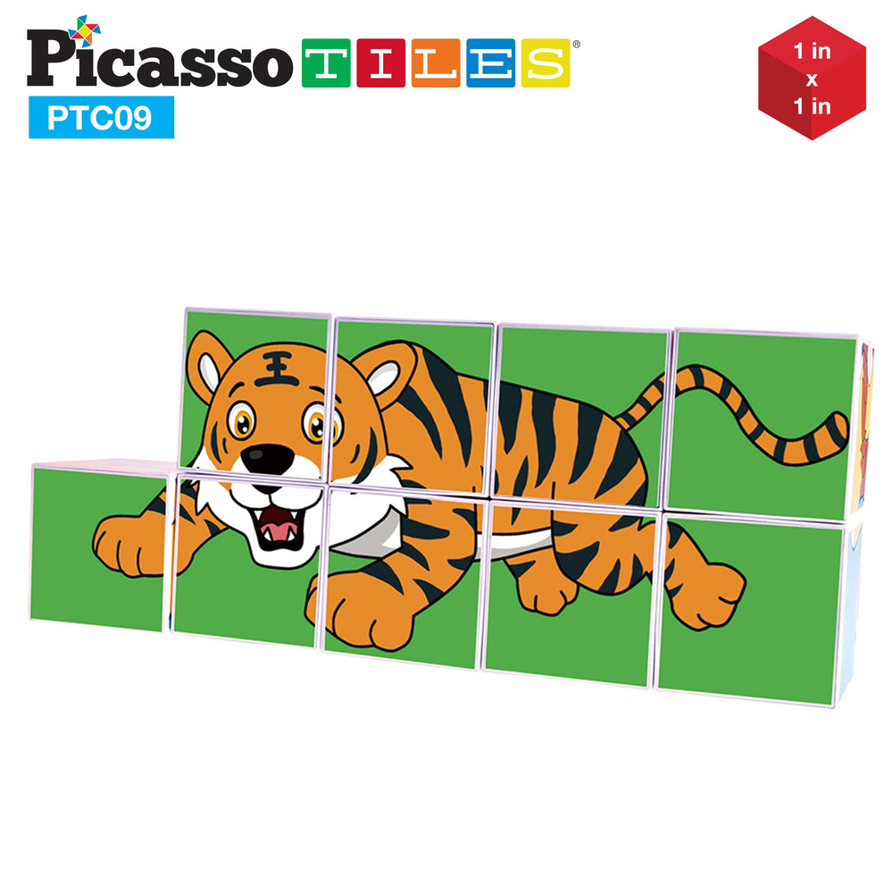 PicassoTiles safe materials ensure BPA-free, non-toxic play.