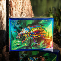 Pixlora Zodiac pieces with twelve unique contours offer engaging assembly.