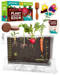 PLANTMEW Root Viewer Kit kidney bean seedling with transparent roots for hands-on learning