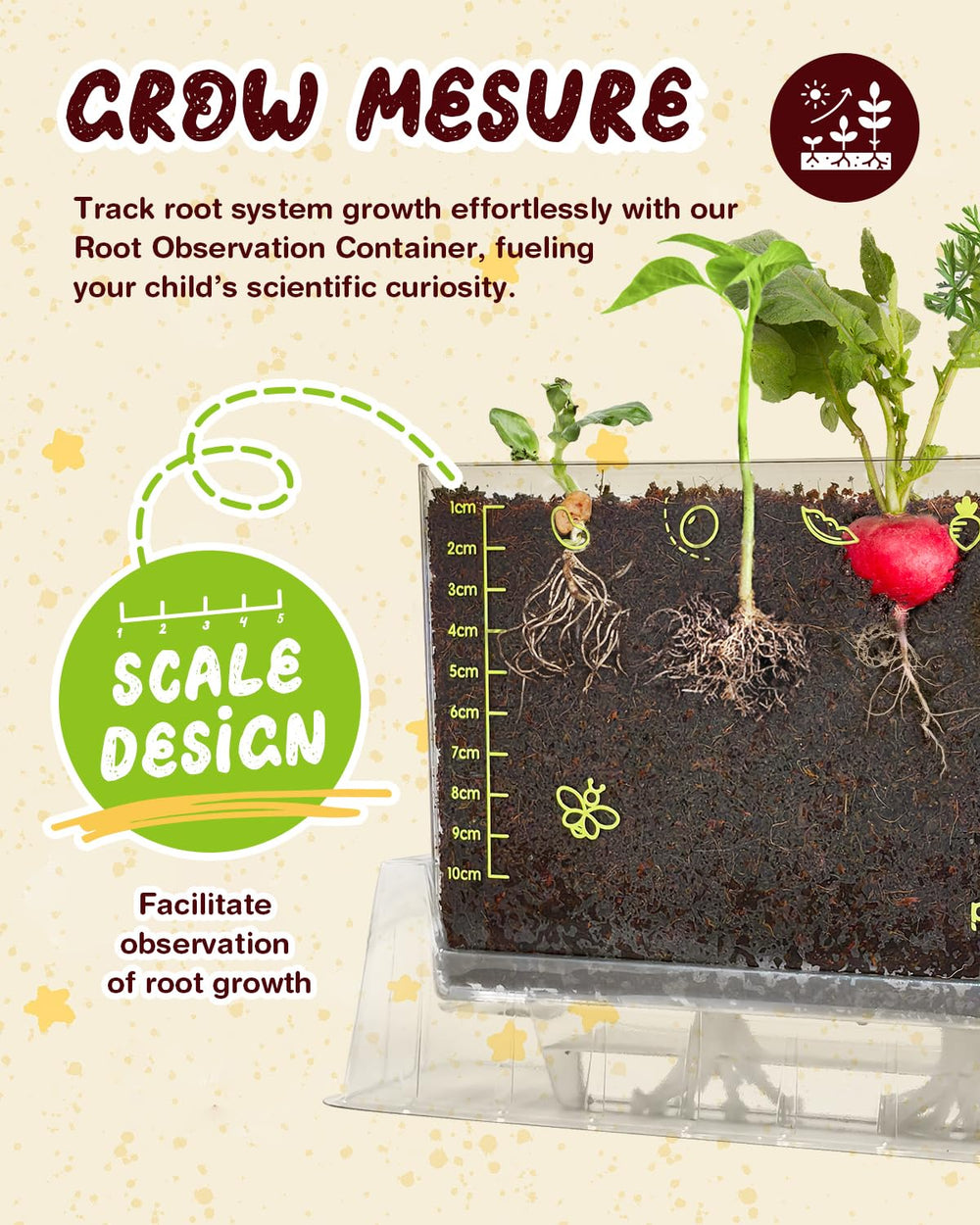 PLANTMEW Root Viewer Kit soya bean seedling with visible root patterns for curiosity