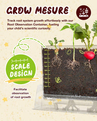 PLANTMEW Root Viewer Kit soya bean seedling with visible root patterns for curiosity