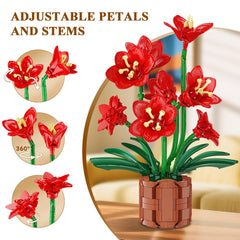 PLAXSOON Amaryllis Bonsai blooms close up shows vibrant petals and lifelike textures
