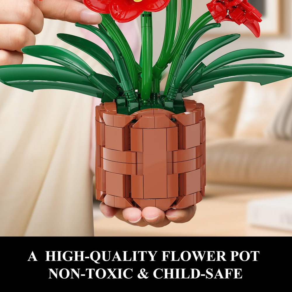 PLAXSOON Amaryllis Bonsai as a gift idea conveys thoughtfulness and lasting joy