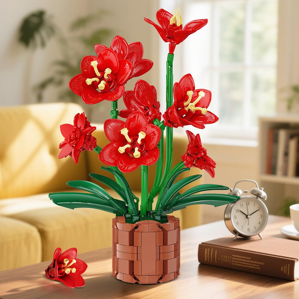 PLAXSOON Amaryllis Bonsai instruction set highlights clear steps for creativity